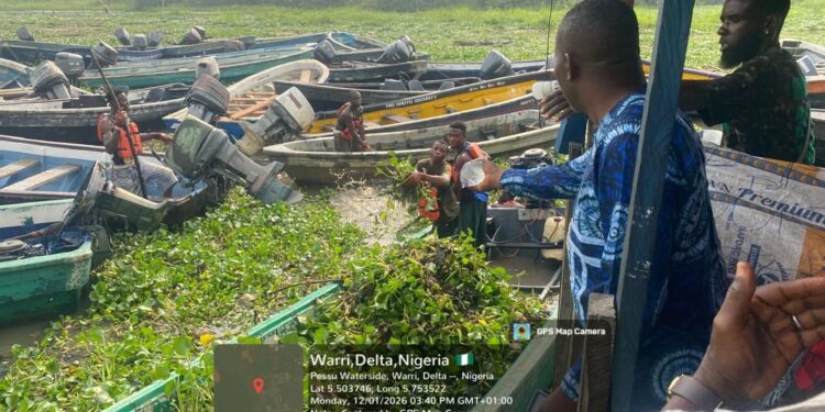 NIWA Sustains Clean-Up Of Delta Waterways To Enhance Safety During Navigation