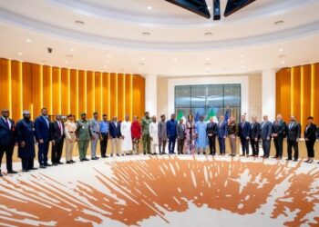 US-Nigeria working group a once-in-a-lifetime opportunity, says Riley Moore