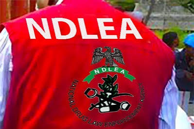 NDLEA Intensifies Drug Sensitisation, Surveillance in Delta