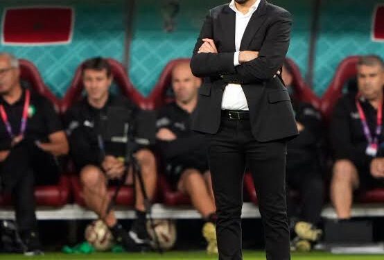 I am not afraid of sacking if we lose to Nigeria on Wednesday, says Morocco coach