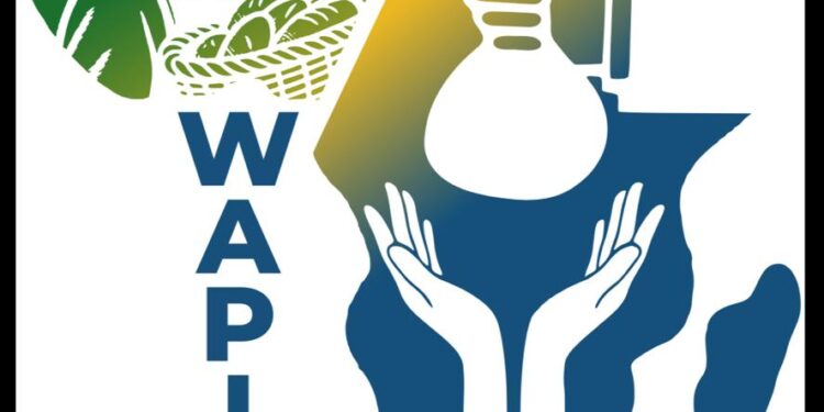 Wapia Financial Services Limited launches new inclusive financial platform powered by Insolify