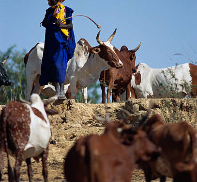 Gunmen kill two herders, slaughter three cattle