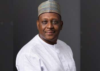 Only N36 million released from N218 billion health capital budget in 2025: Minister