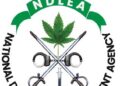 NDLEA Nabs Wanted Drug Baron After 13 Years
