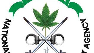 NDLEA Nabs Wanted Drug Baron After 13 Years