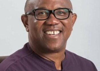 2027: I’m Not Disturbed By APC’s 30 Governors — Peter Obi