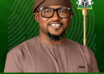Hope Rises in Ado as Patriot Nelson Ogbu Joins Assembly Race