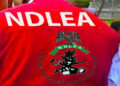 NDLEA Intercepts Consignment of 500 Bomb-Making Components, Cameroonian With Cannabis