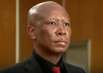 Julius Malema Sentenced To 5 Years In Prison Over Alleged Gun Firing At Rally