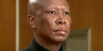 Julius Malema Sentenced To 5 Years In Prison Over Alleged Gun Firing At Rally