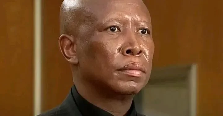 Julius Malema Sentenced To 5 Years In Prison Over Alleged Gun Firing At Rally
