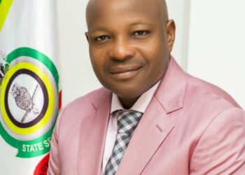 “RE: ARREST OF PROFESSOR OKEY NDIBE- SETTING THE RECORDS STRAIGHT” – DSS