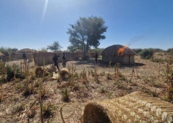 Army: Intelligence confirmed slain ISIS leader created fortified enclave in Borno