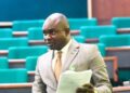 Ex-lawmaker, Farah Dagogo, wins ADC governorship ticket in Rivers