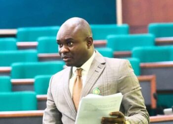 Ex-lawmaker, Farah Dagogo, wins ADC governorship ticket in Rivers