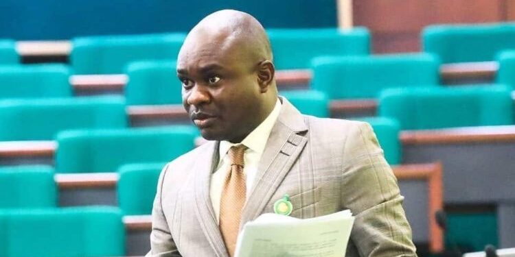 Ex-lawmaker, Farah Dagogo, wins ADC governorship ticket in Rivers