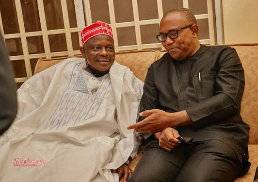 ‘Obi, Kwankwaso will join NDC next week’ — Kwankwasiya movement tells TheCable