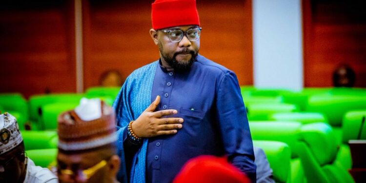 House of Reps: 61 opposition lawmakers nominate Ugochinyere as opposition leader amidst internal opposition moves