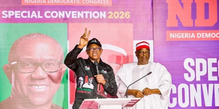 2027: Obi-Kwankwaso bid faces Northern resistance