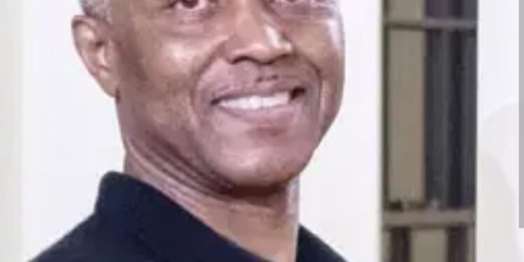Did the DSS Cross the Line on Prof Okey Ndibe?