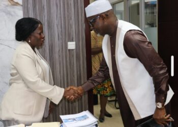 Political Leadership: Nigerian Men Should Learn from Liberia on Women Inclusion – NEWOMCII Founder