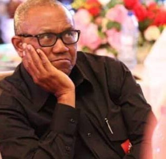 “Don’t Disparage Me or My Party. If It’s Easy, Go and Form Your Own Party. You’re Not Doing NDC a Favour. NDC Is Doing You a Favour” — Senator Dickson Tells Obidients
