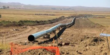 Incredible: Vandals Excavate, Steal 3km Of Port Harcourt–Kaduna Pipeline After Months-long Operation In South-East Forest
