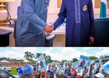 Mini grid power project: Ofu residents praise President Tinubu