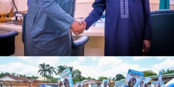 Mini grid power project: Ofu residents praise President Tinubu