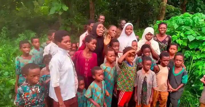 UN PROBE: Analyst, Party Leaders Accuse APC-led Administration of Double Standards, Cite 2013 Baga Killings and ACN’s Position