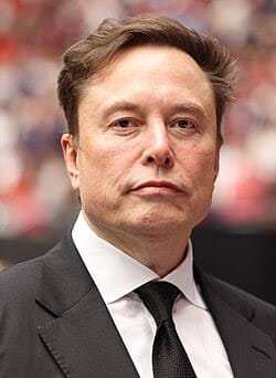 Nigeria Outpaced EU by Four Million Births in 2025 – Musk