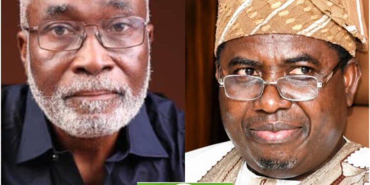INEC Must Reverse Wrongly Published ADC Candidate Lists, Investigate Officials Who Monitored Primaries — Owokoniran