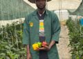 Cultivating Innovation: How Cross-Disciplinary Mentorship is Shaping Africa’s Next-Generation Agripreneurs