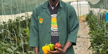 Cultivating Innovation: How Cross-Disciplinary Mentorship is Shaping Africa’s Next-Generation Agripreneurs