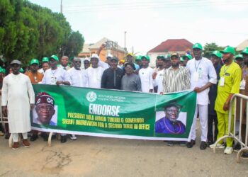 2027:SNYC Endorses Tinubu, Oborevwori For Second Terms