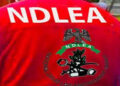 NDLEA, Delta, records 248 convictions, seizes N2bn illicit drugs in three months