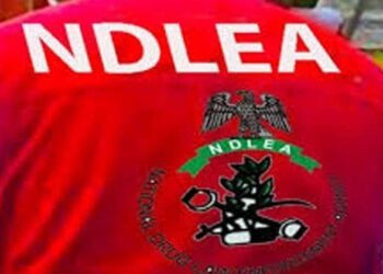 NDLEA, Delta, records 248 convictions, seizes N2bn illicit drugs in three months