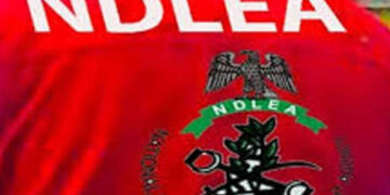 NDLEA, Delta, records 248 convictions, seizes N2bn illicit drugs in three months