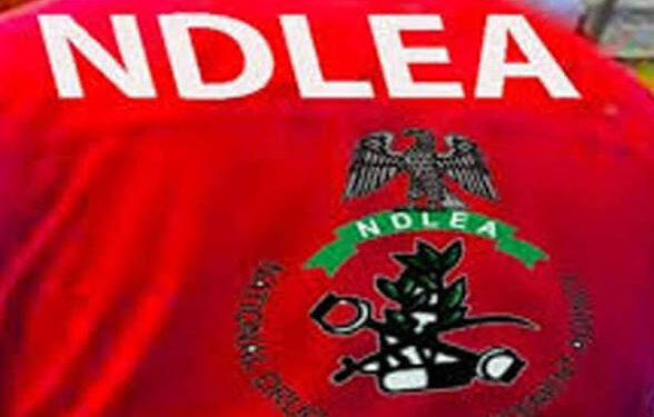 NDLEA, Delta, records 248 convictions, seizes N2bn illicit drugs in three months