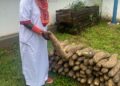 Iwa-Igi 2026:Chief Idion, Adolor Dein of Agbor Kingdom, Says Cultural Heritage Key To Future of Agbor