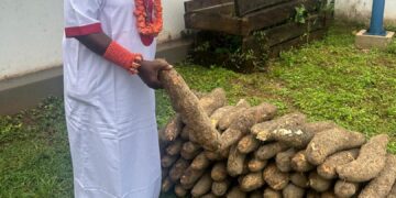Iwa-Igi 2026: Chief Idion, Adolor Dein of Agbor Kingdom, Says Cultural Heritage Key To Future of Agbor